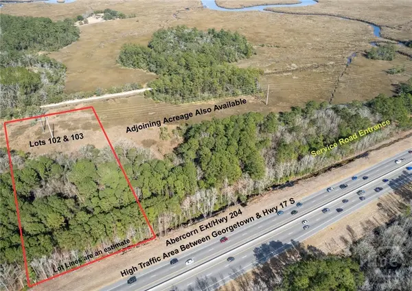 0 Abercorn Extension, Savannah, GA 31419