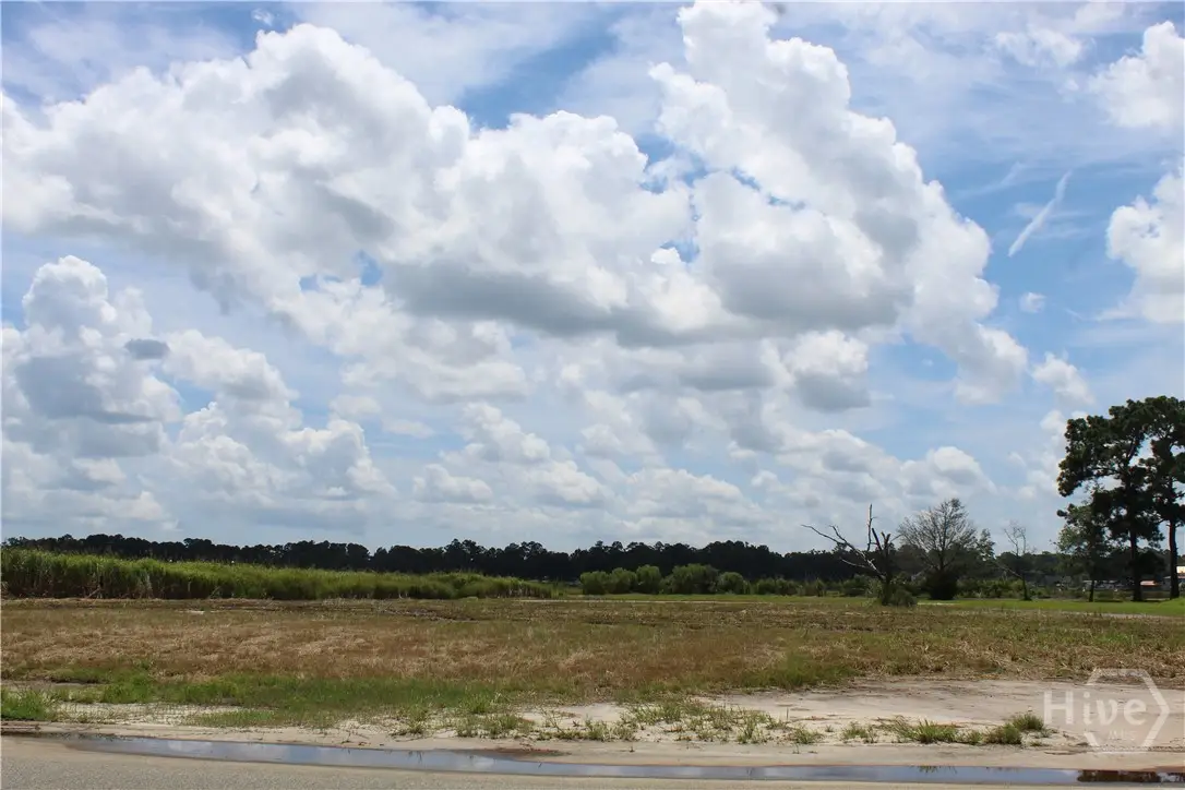 24 Jerico Marsh Lot 24 Road, Midway, GA 31320 - Image #1