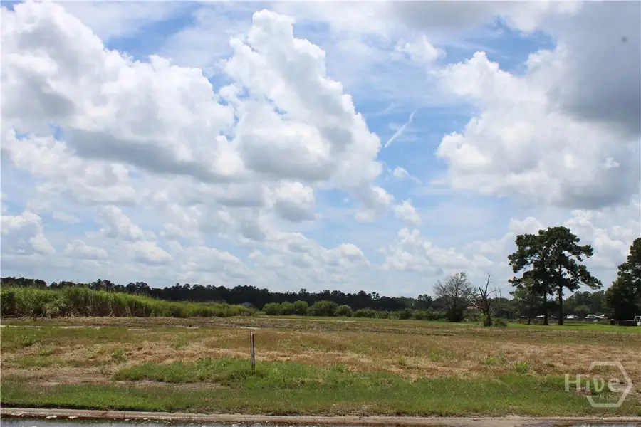 24 Jerico Marsh Lot 24 Road, Midway, GA 31320 - Image #3