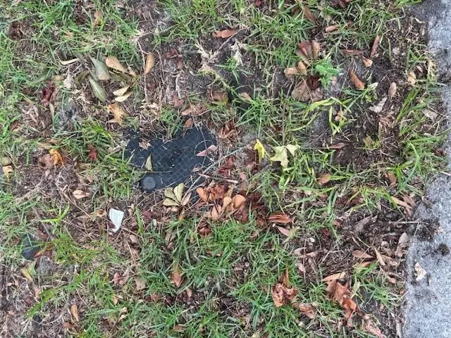 0 Lawton Avenue, Savannah, GA 31404 - Image #3