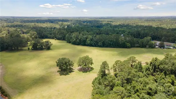 35+ Acres Wells Road, Hinesville, GA 31313