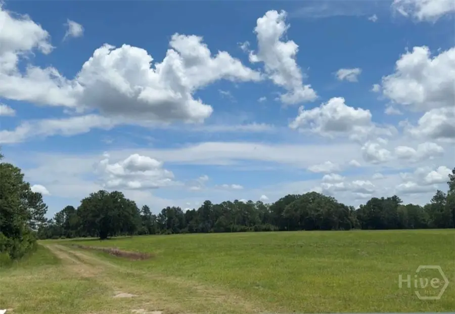 35+ Acres Wells Road, Hinesville, GA 31313 - Image #2