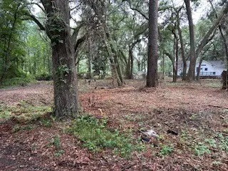 0 Tideland Drive, Midway, GA 31320 - Image #3