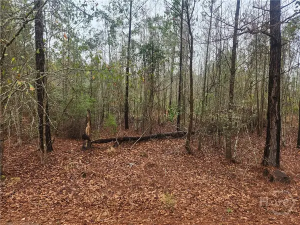 351 S Poplar Street, Pembroke, GA 31321