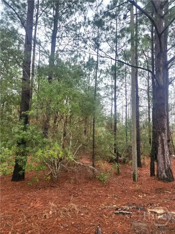 351 S Poplar Street, Pembroke, GA 31321 - Image #3