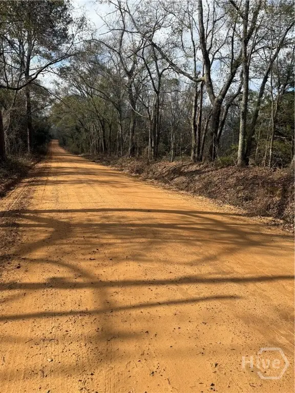 0 George Moore Road, Statesboro, GA 30461 - Image #2