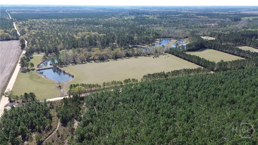 680 Porters Landing Road #LOT 1, Clyo, GA 31303 - Image #3