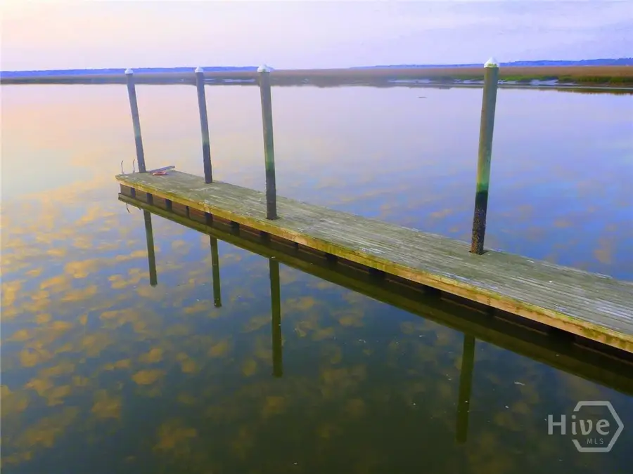 LOT 239 Coopers Landing Drive Ne, Townsend, GA 31331 - Image #3