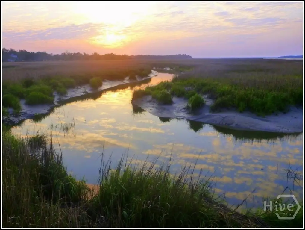 LOT 230 Coopers Landing Drive Ne, Townsend, GA 31331 - Image #1