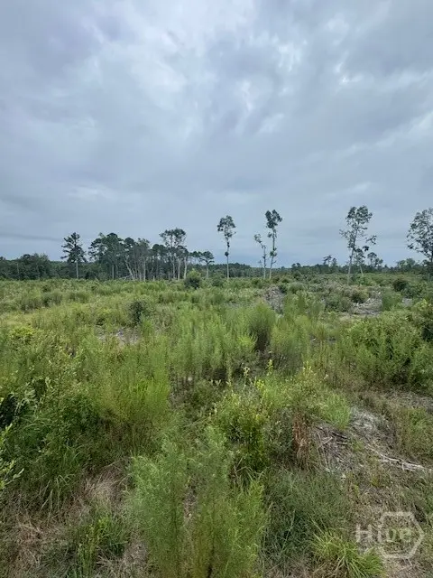 0 Kennedy Bridge Road, Register, GA 30452 - Image #1