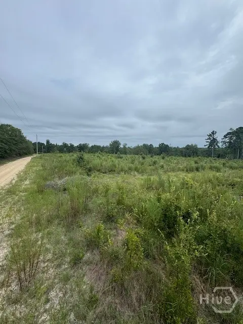 0 Kennedy Bridge Road, Register, GA 30452 - Image #2