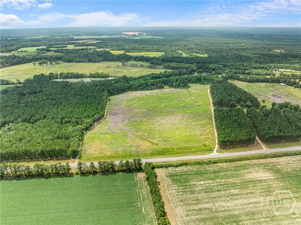 0 Hwy 301 N, Statesboro, GA 30458 - Image #1
