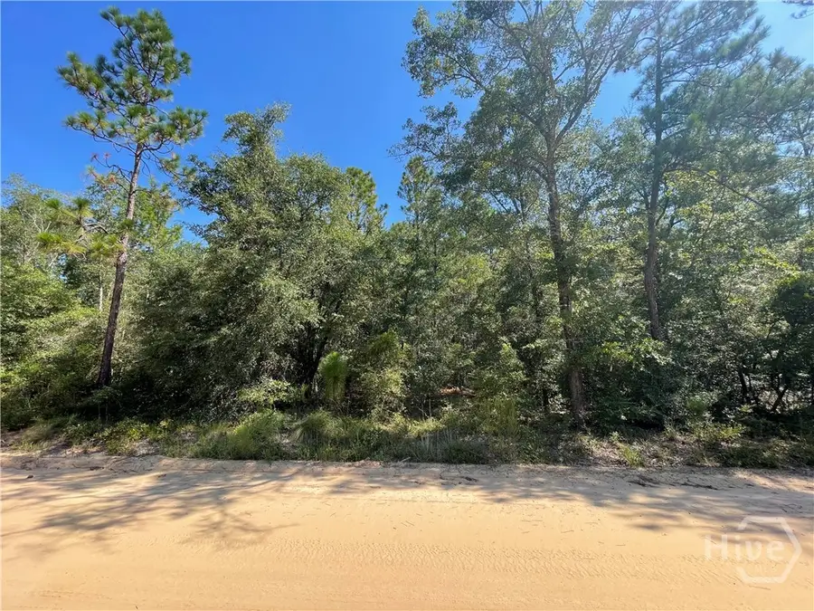 02 Old Augusta Rd, Clyo, GA 31303 - Image #2