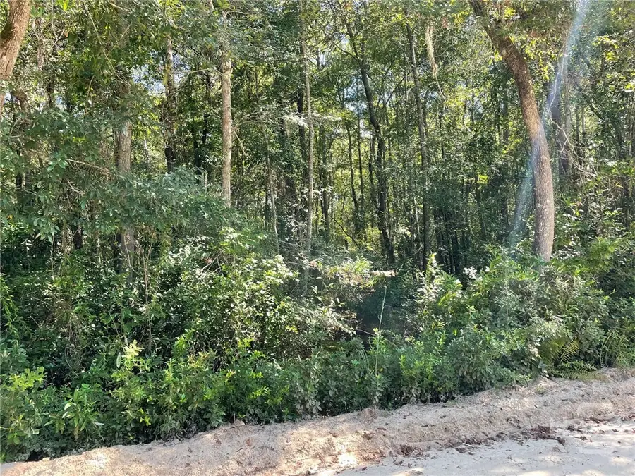 04 Old Augusta Rd, Clyo, GA 31303 - Image #3