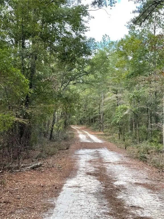 08 Old Augusta Rd, Clyo, GA 31303 - Image #2