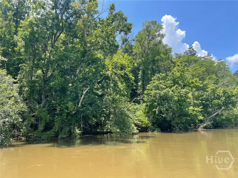 09 Old Augusta Rd, Clyo, GA 31303 - Image #3