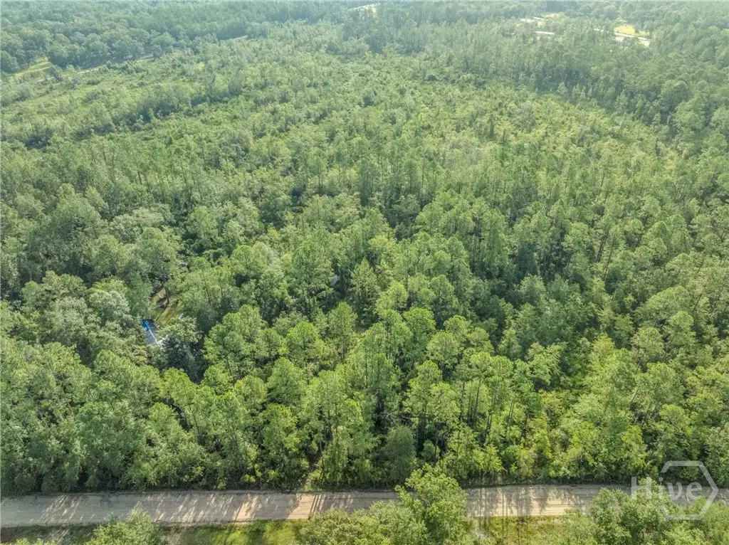 0 Rattler Run, Hortense, GA 31543 - Image #1