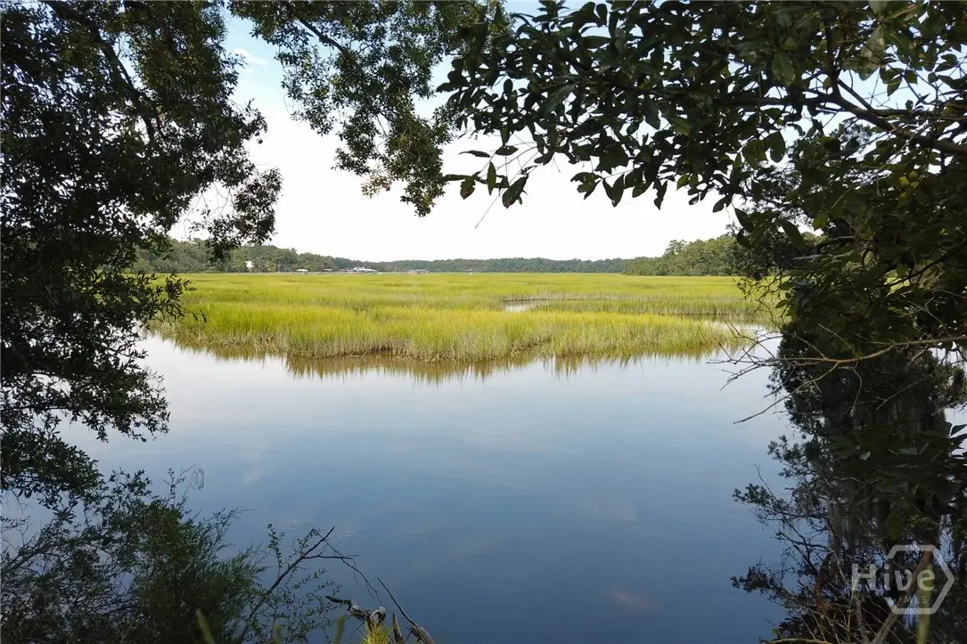 2061 Belle Island Road, Richmond Hill, GA 31324 - #1