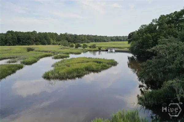 2061 Belle Island Road, Richmond Hill, GA 31324