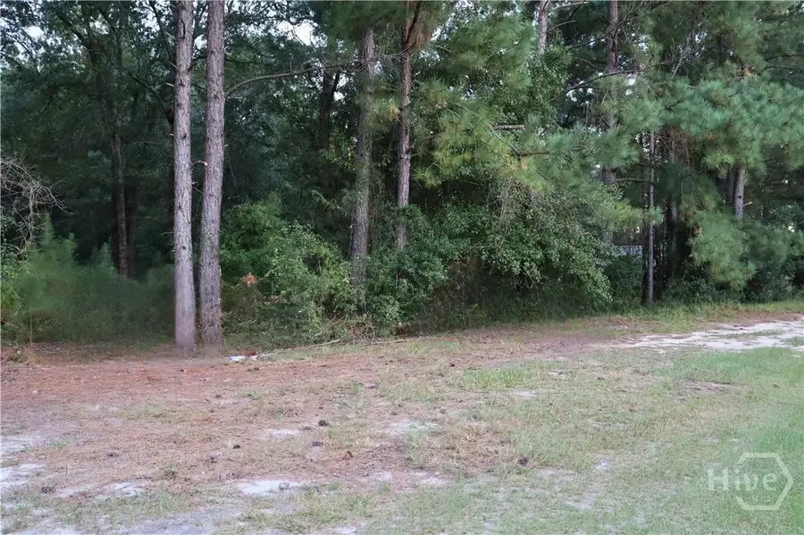 Lot 125 Orange Court, Sylvania, GA 30467 - Image #2