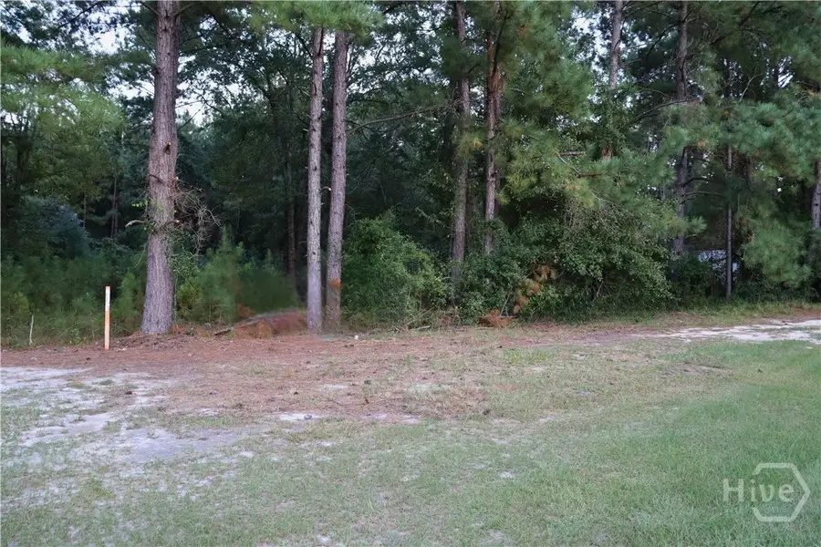 Lot 125 Orange Court, Sylvania, GA 30467 - Image #3