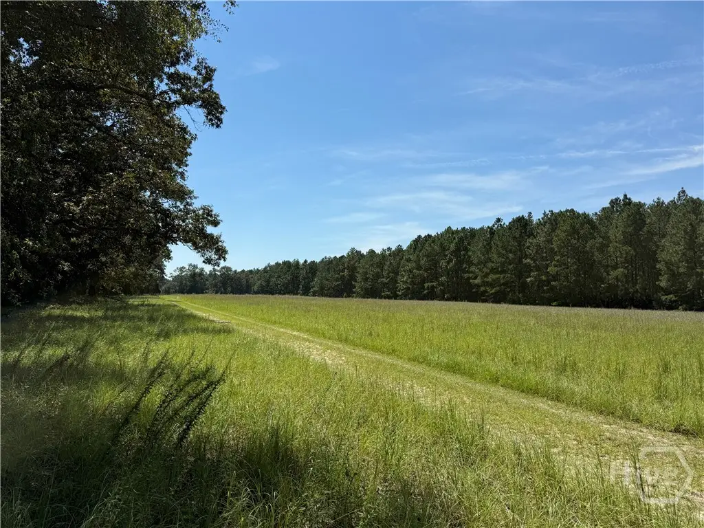 0 Sunbury Road #Tract 6, Claxton, GA 30417 - Image #1