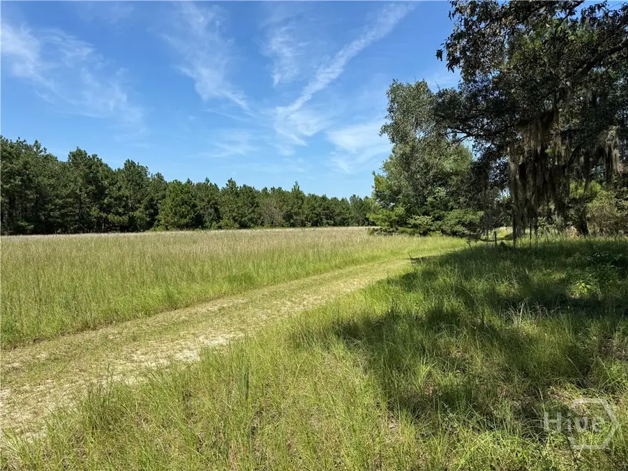 0 Sunbury Road #Tract 6, Claxton, GA 30417 - Image #2