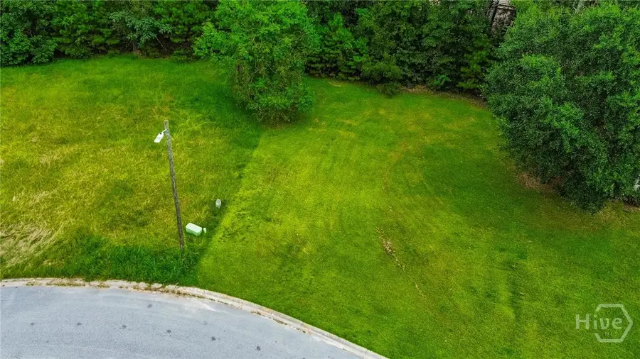 0 Water Oak Way, Garden City, GA 31408 - Image #2