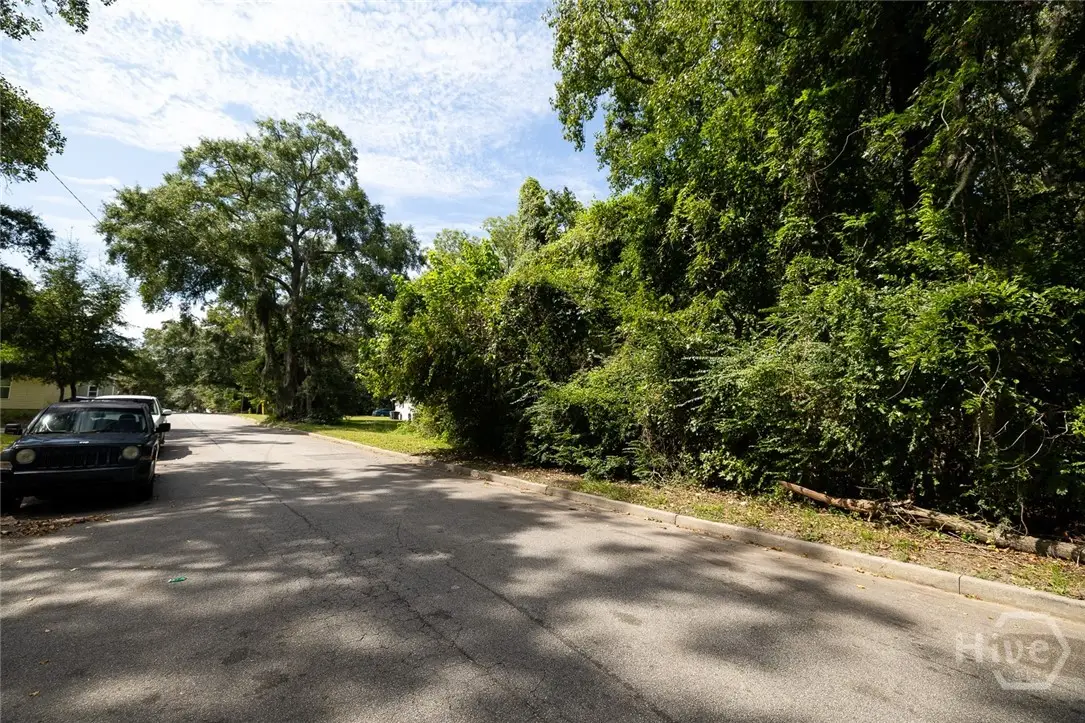 0 Carroll Street #Lot 16, Savannah, GA 31405 - Image #1
