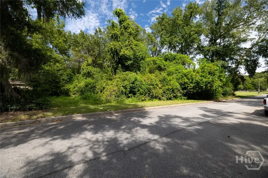 0 Carroll Street #Lot 16, Savannah, GA 31405 - Image #2
