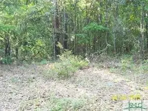 0 Salt Creek Road, Savannah, GA 31405