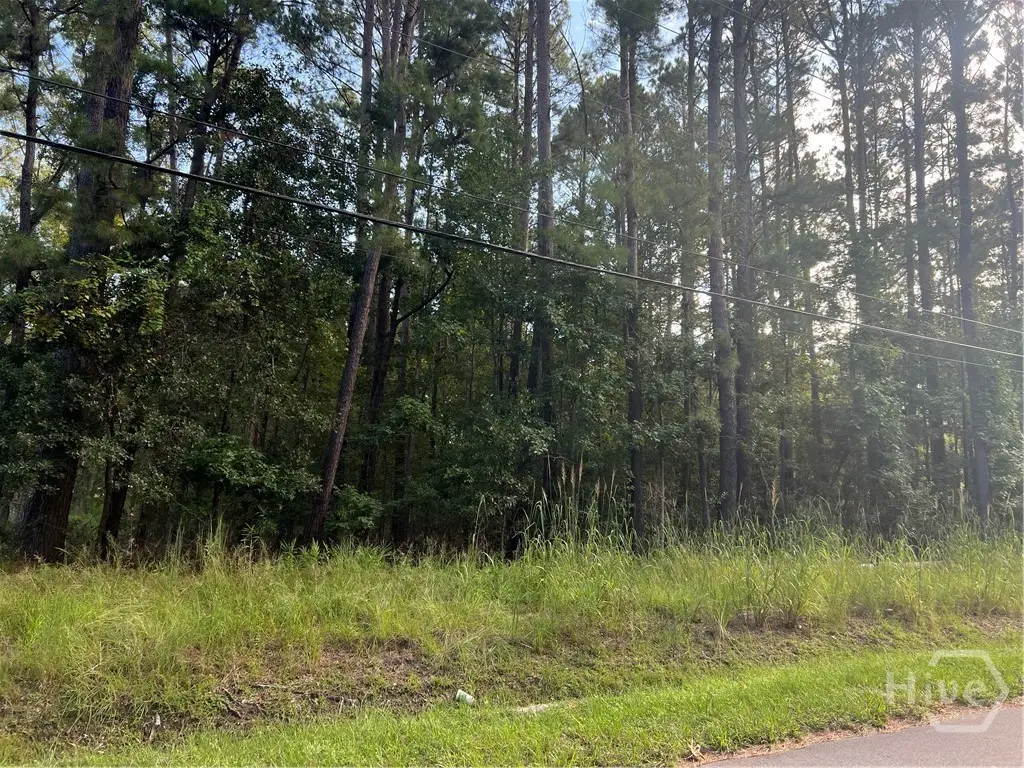 0 Grove Point Road, Savannah, GA 31419 - Image #1