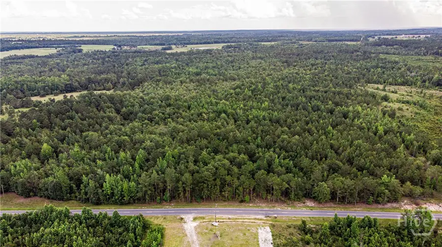 151 Brantley Midas Road, Kite, GA 31049 - Image #3