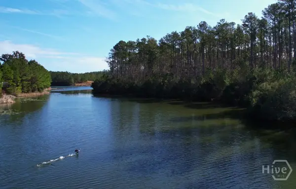 51 Enclave Drive, Richmond Hill, GA 31324