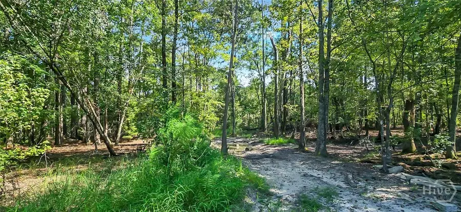 0 4th Extension, Guyton, GA 31312 - Image #2