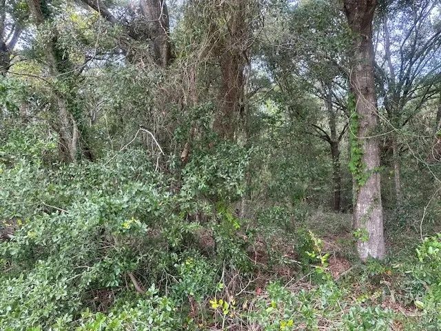 1236 Seaside Road, Saint Helena Island, SC 29920 - #2