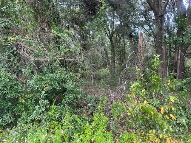 1236 Seaside Road, Saint Helena Island, SC 29920 - #3