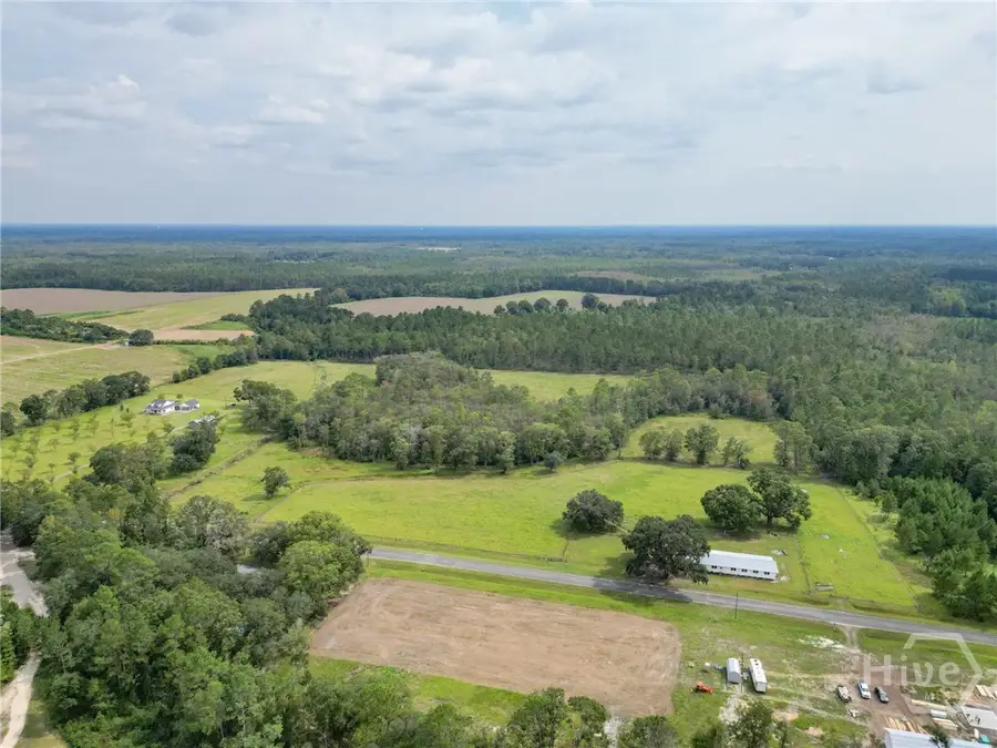 30 acres Hodges Road, Hinesville, GA 31313 - Image #2