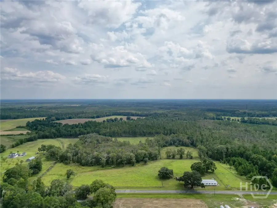 30 acres Hodges Road, Hinesville, GA 31313 - Image #3