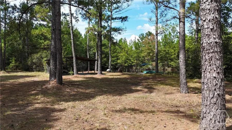 0 Stillwell Clyo Road, Springfield, GA 31329 - Image #3