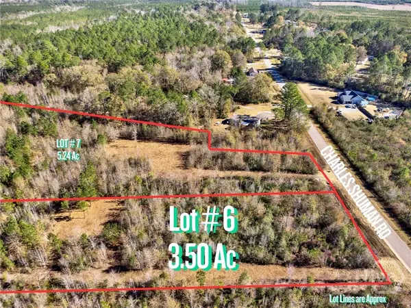 Lot 6 Charles Shuman Road, Pembroke, GA 31321