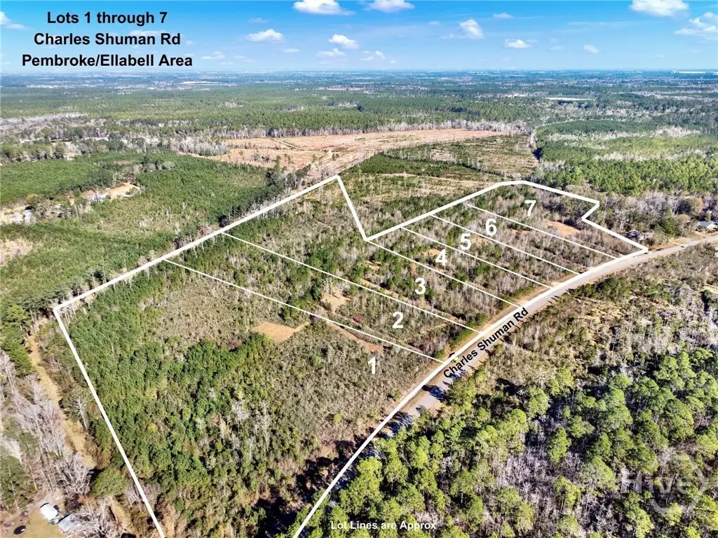 Lot 7 Charles Shuman Road, Pembroke, GA 31321 - #1