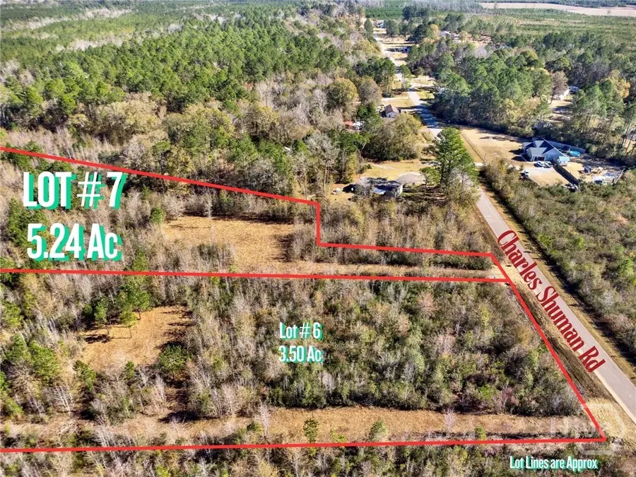 Lot 7 Charles Shuman Road, Pembroke, GA 31321 - #2