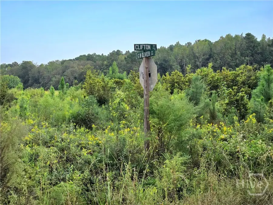 0 G W Oliver Road, Statesboro, GA 30458 - Image #2