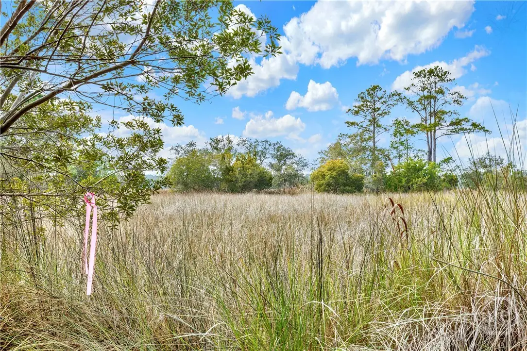 187 Burton Road, Savannah, GA 31405 - #1