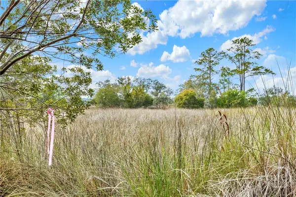 187 Burton Road, Savannah, GA 31405