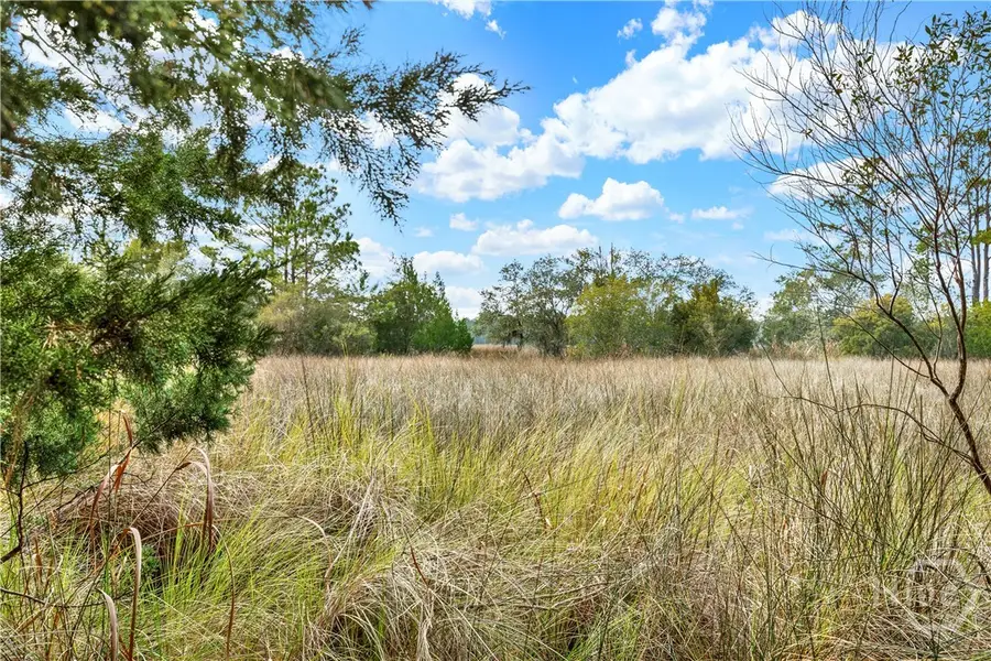187 Burton Road, Savannah, GA 31405 - #3