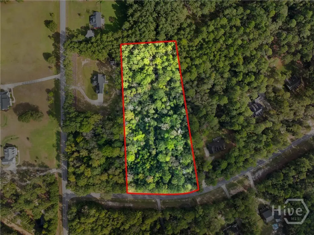 0 Plantation Pointe Drive, Statesboro, GA 30461 - #1