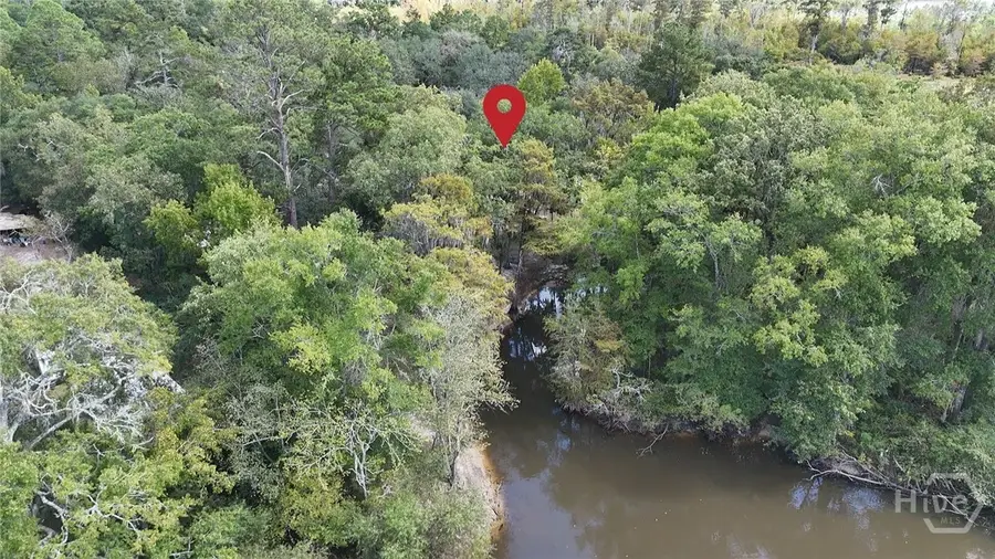 105 Shad Road, Bloomingdale, GA 31302 - Image #3