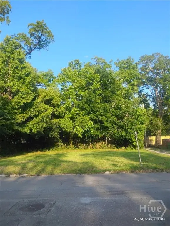 1806 Le Grand Street, Savannah, GA 31401 - Image #2